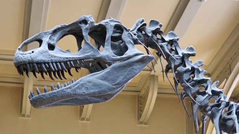 Valley of the Dinosaurs